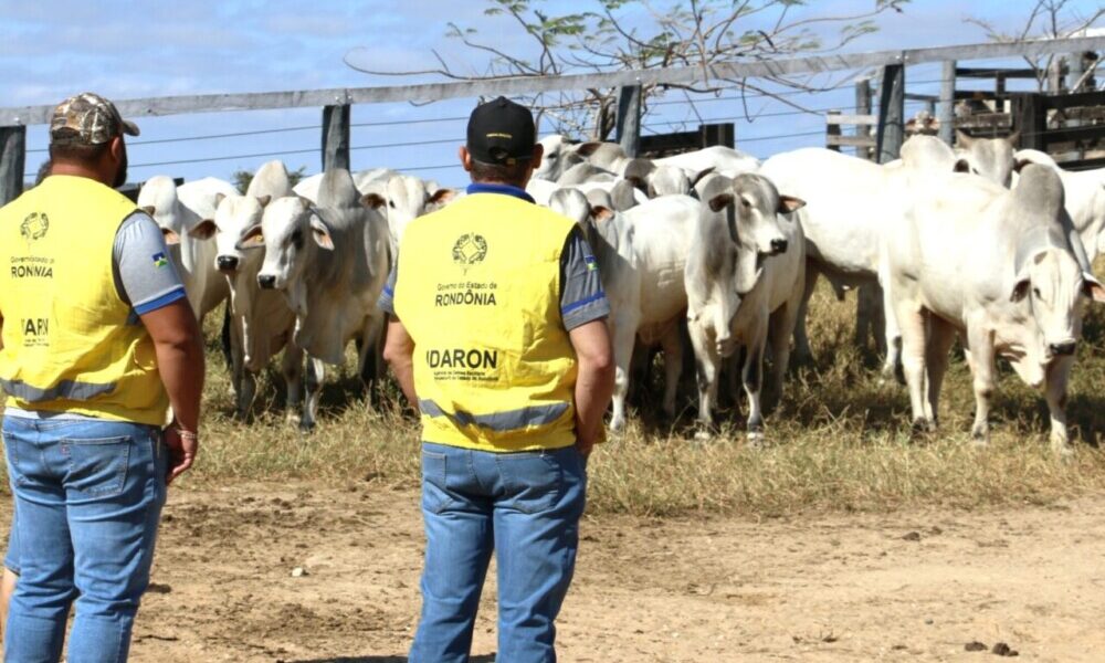 A partir de sábado, 1º, produtor terá 30 dias para atualizar cadastro agropecuário junto à Idaron