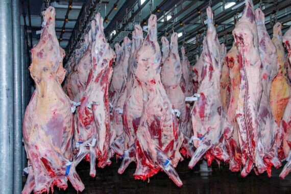 Rondônia é destaque também no cenário econômico, com aumento de 17,5% nas exportações de carne bovina
