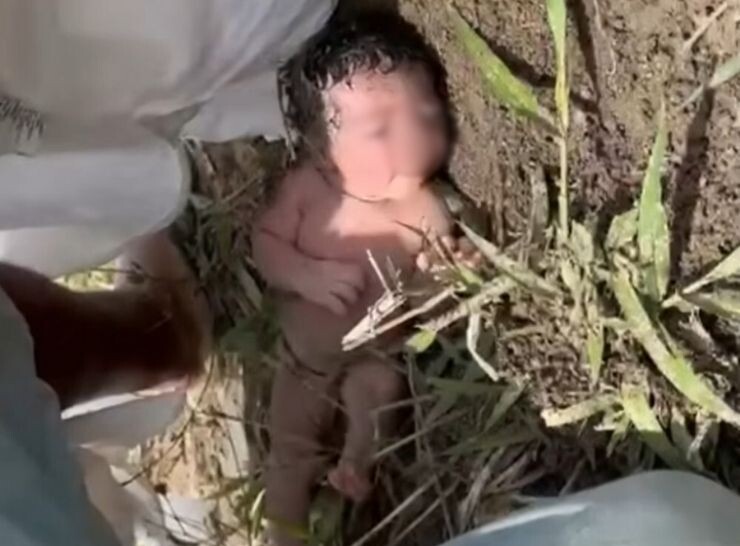 Recém-nascido é abandonado em formigueiro, mãe foi identificada