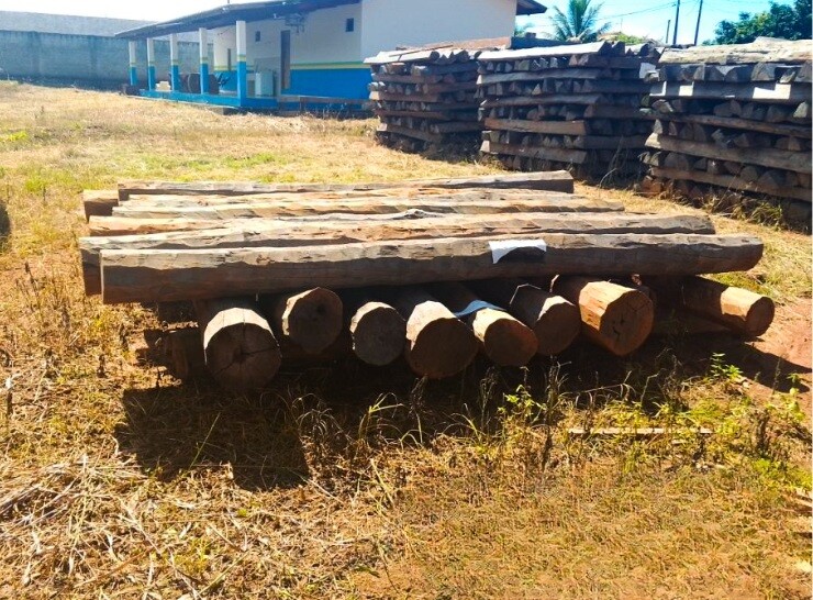 Polícia Militar Ambiental de Rondônia realiza leilão de madeira apreendida em Alta Floresta d’Oeste